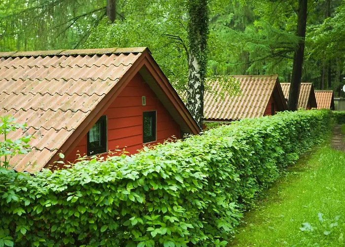 Waldidylle - Bungalows An Der Talsperre Kriebstein