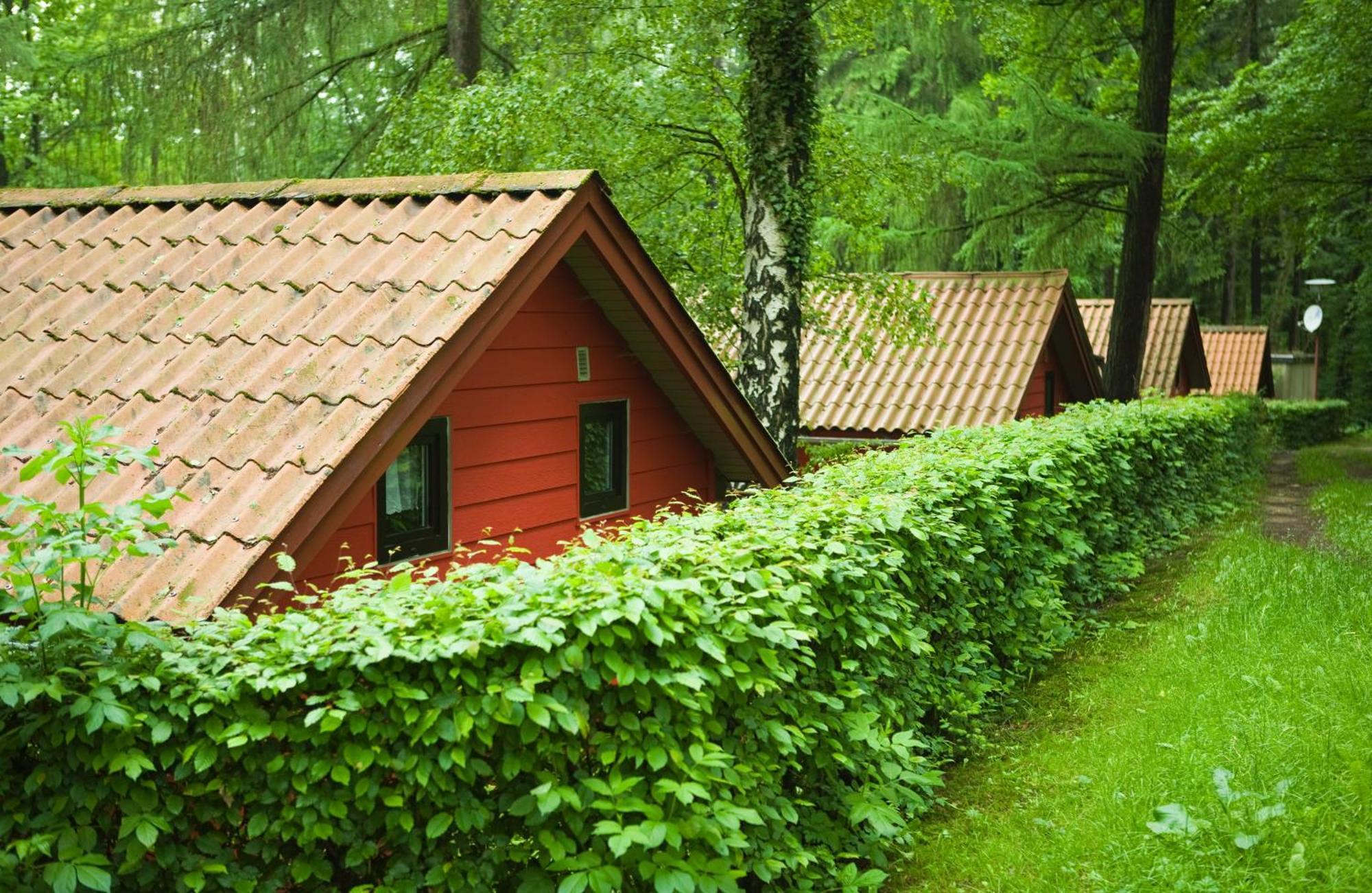 Holiday home Waldidylle - An Der Talsperre *